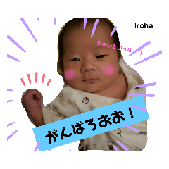 [LINEスタンプ] いろはーちゃん