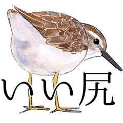 [LINEスタンプ] 日本の野鳥6