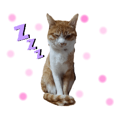 [LINEスタンプ] ツキとヤヤ1