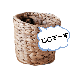 [LINEスタンプ] ヤヤ1