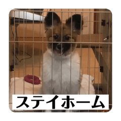 [LINEスタンプ] ナイト君のお気楽スタンプ2