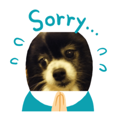 [LINEスタンプ] MINAKO_20200516173837