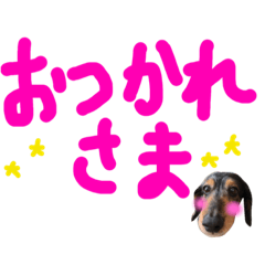 [LINEスタンプ] ダックス デカ文字