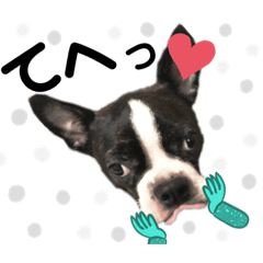 [LINEスタンプ] キムとカポネ