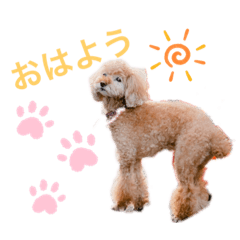 [LINEスタンプ] あぽろちゃん♡