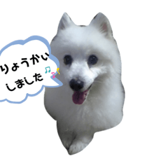 [LINEスタンプ] じょにー2020