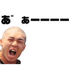 [LINEスタンプ] 長尾組(問題にならない問題児たち)