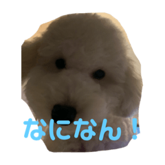 [LINEスタンプ] なんくんの日常