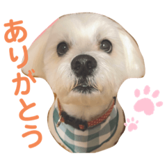 [LINEスタンプ] ノンちゃんとゆうくん