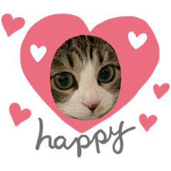 [LINEスタンプ] みぃたんすたぁんぷ