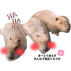 [LINEスタンプ] 可愛いどうぶつたち♡
