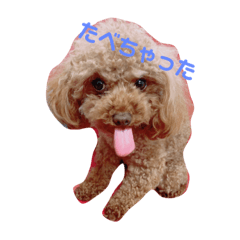 [LINEスタンプ] ぽんかん犬