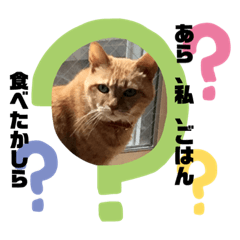 [LINEスタンプ] ケラポンたん