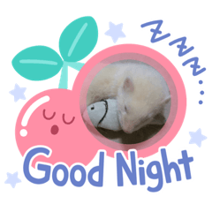 [LINEスタンプ] チラハムフェレ