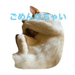 [LINEスタンプ] 千恵
