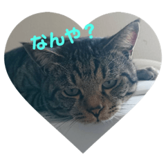 [LINEスタンプ] れもん＆リッキー