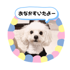[LINEスタンプ] umiのスタンプ