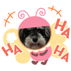 [LINEスタンプ] ソララサン2