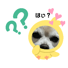 [LINEスタンプ] ロンくんの日常会話