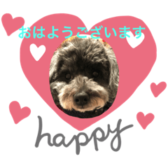 [LINEスタンプ] シャイな子たち
