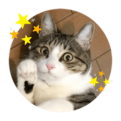 [LINEスタンプ] ぴよ＆トロ