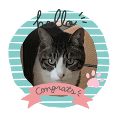 [LINEスタンプ] 我が家のしあんすたんぷ