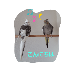 [LINEスタンプ] オカメインコでご挨拶2