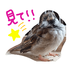 [LINEスタンプ] とりーず2