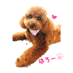 [LINEスタンプ] ちゃたろだもの2