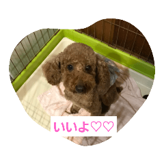 [LINEスタンプ] イヌタンプ