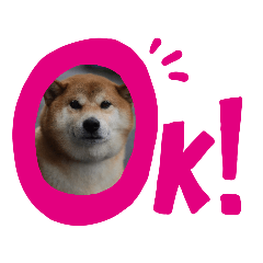[LINEスタンプ] ころちゃーーーん