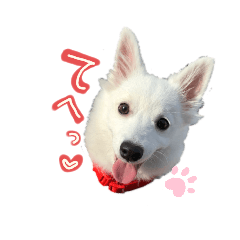 [LINEスタンプ] キナリのスタンプver.1
