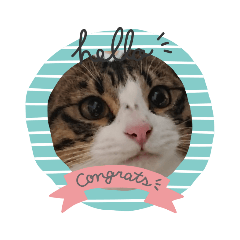 [LINEスタンプ] かわいいかわいいみみちゃん