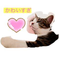 [LINEスタンプ] マロンの写真1