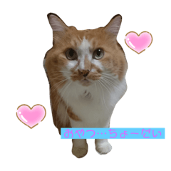 [LINEスタンプ] 試しに作った物です