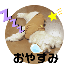 [LINEスタンプ] love-wanko