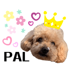 [LINEスタンプ] うちの子パル