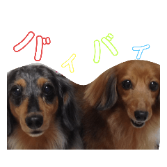 [LINEスタンプ] ワンチャンプ