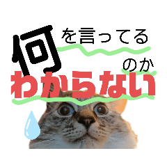 [LINEスタンプ] 湯浅家のスタンプ6
