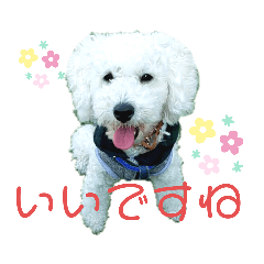 [LINEスタンプ] 殿若10