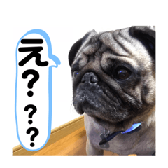 [LINEスタンプ] 大福の毎日～Part3～