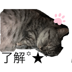 [LINEスタンプ] moon.1