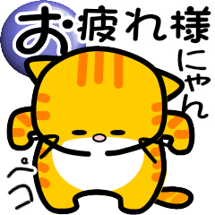 [LINEスタンプ] 可愛いにゃんこ達【5】in元気いっぱい