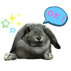 [LINEスタンプ] うちのロップ