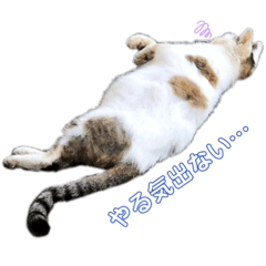 [LINEスタンプ] やる気でにゃいスタンプ