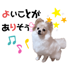 [LINEスタンプ] ポメチロルンちゃん