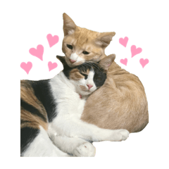 [LINEスタンプ] melmei♡2