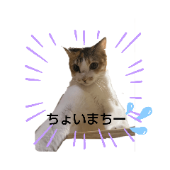 [LINEスタンプ] I Love Family①