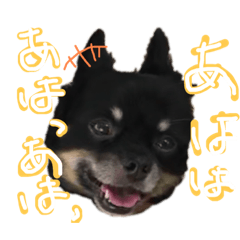 [LINEスタンプ] デカチワワのエルメスくん