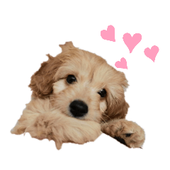 [LINEスタンプ] Luana ダップー